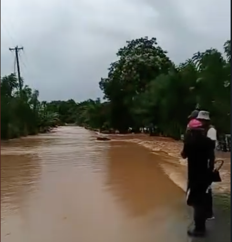 El Nordeste result&oacute; muy afectado por crecidas de r&iacute;os