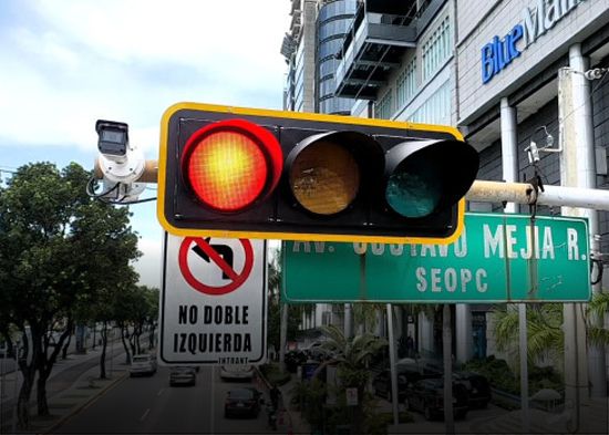 Contrataciones P&uacute;blicas anul&oacute; la licitaci&oacute;n del Intrant