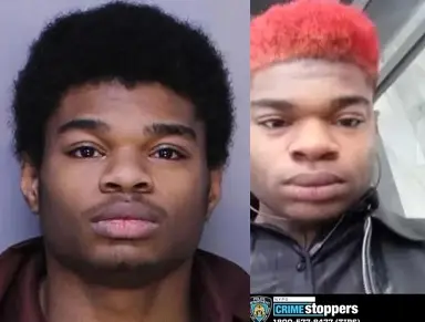 Arrestan en NY sospechoso de cometer 115 violaciones sexuales