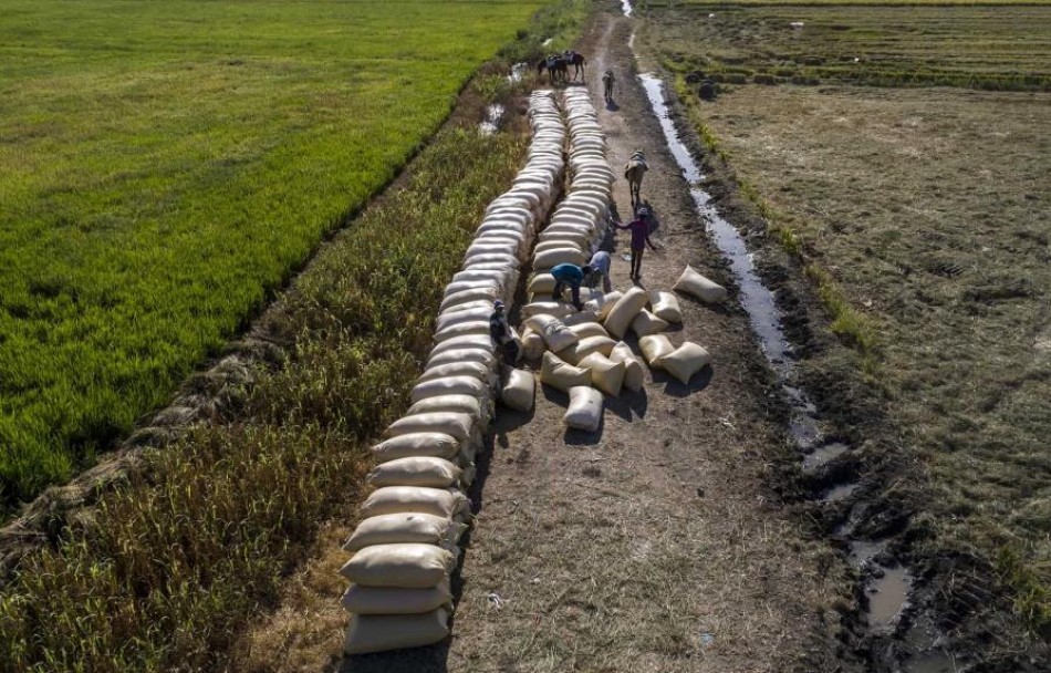 Iberoamérica busca su soberanía alimentaria