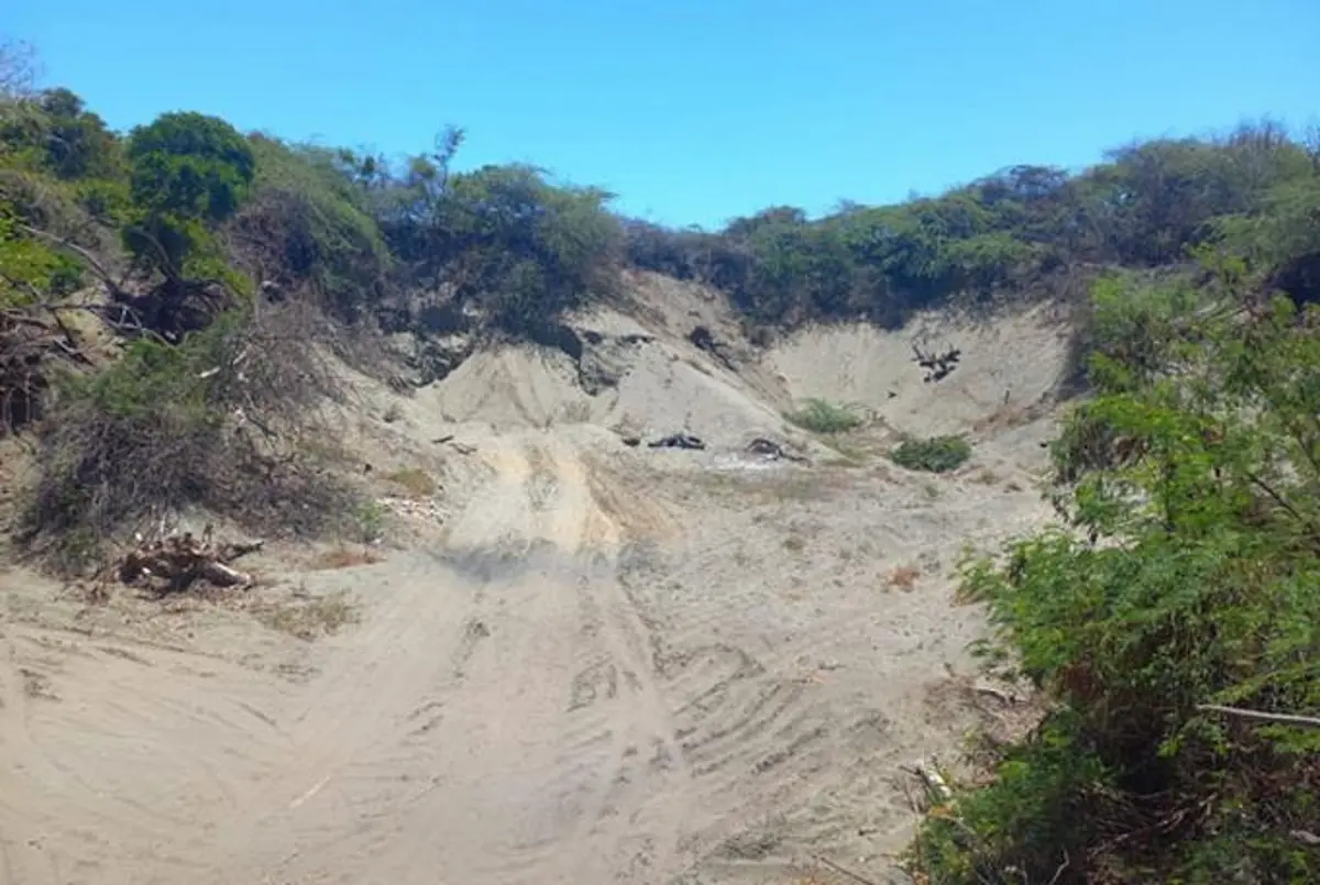 Medio ambiente identifica los da&ntilde;os entre las dunas de Ban&iacute;