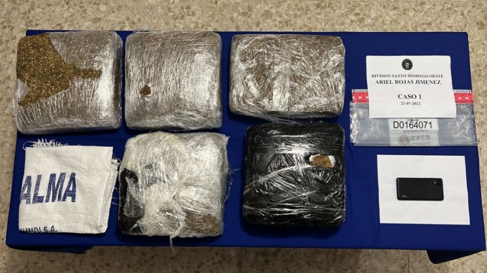 DNCD decomisa 222 mil gramos de drogas en operativos en julio