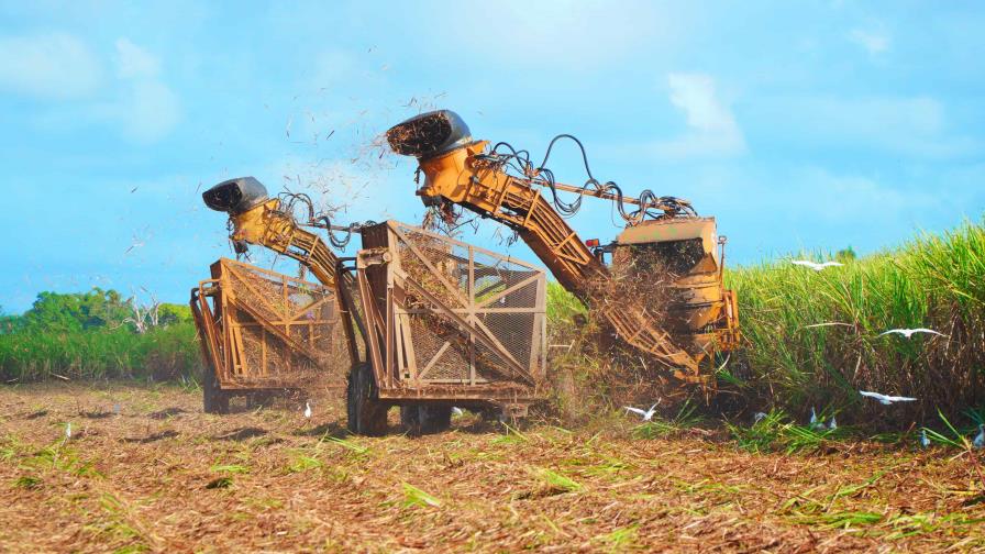 Central Romana cierra zafra con casi un mill&oacute;n de toneladas menos de ca&ntilde;a molida