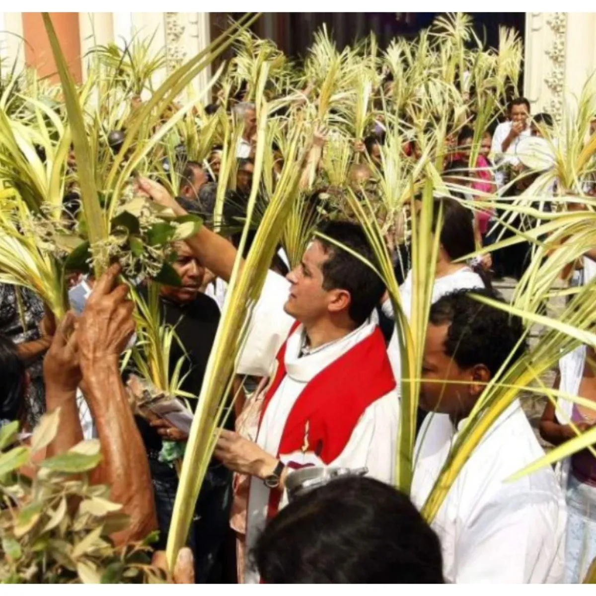 Hoy se celebra el Domingo de Ramos 