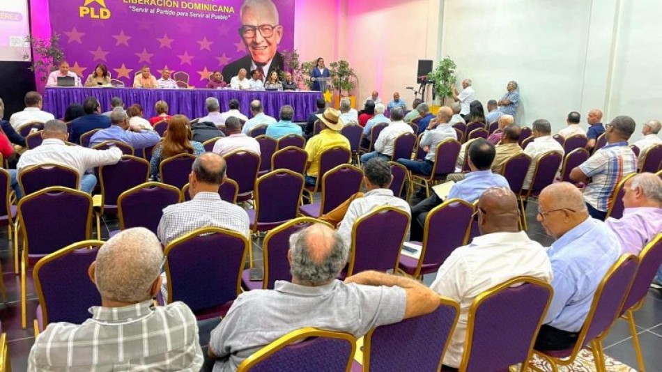 PLD llama a sus militantes a presentar propuestas para fortalecer la organizaci&oacute;n