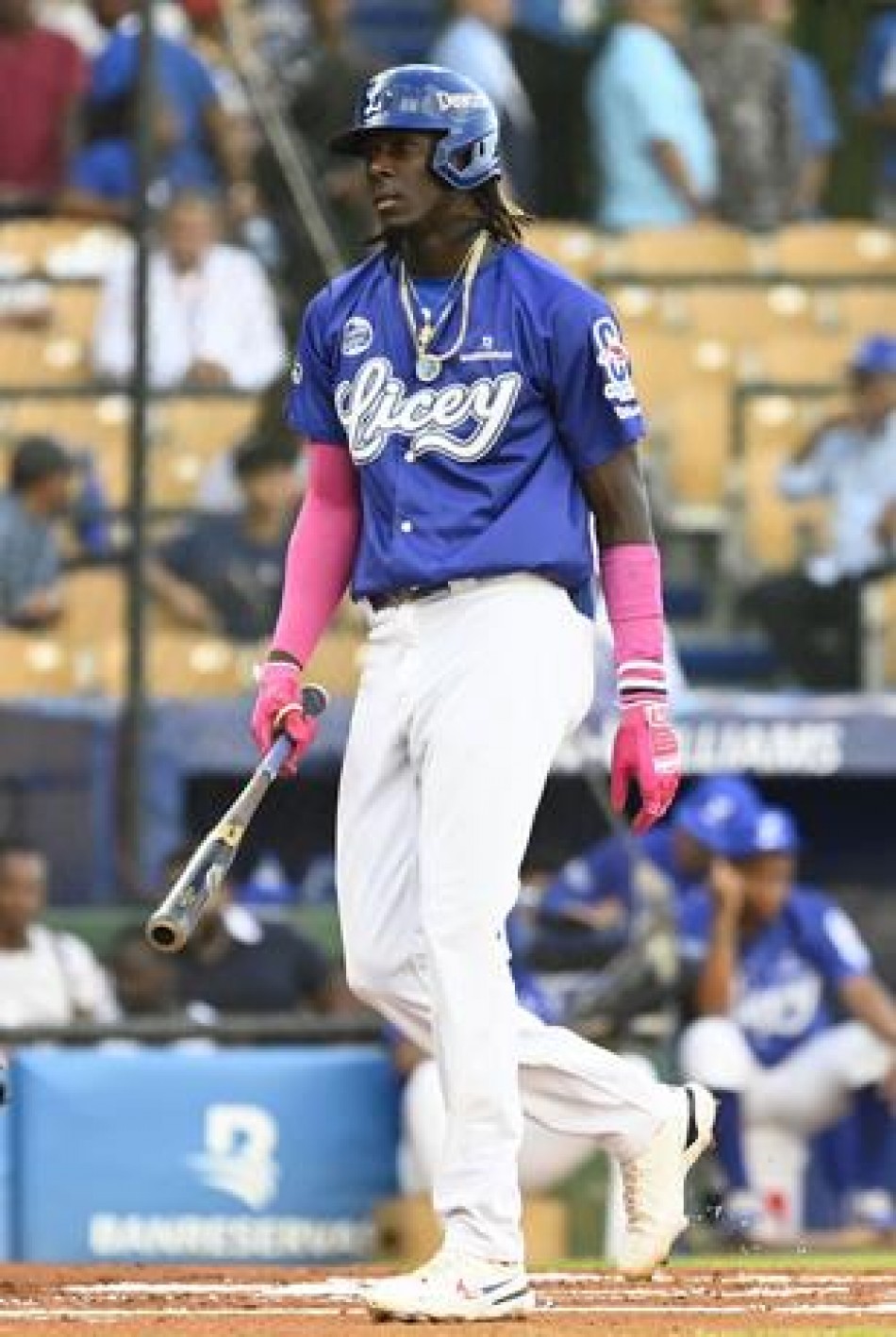 De la Cruz y Mauricio: Los &Aacute;ngeles Negros de Tigres del Licey