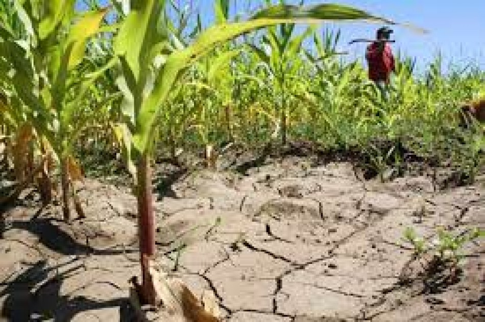 Ministerio De Agricultura Empieza La Ampliación De Las Medidas Para Mitigar Sequía De Agua