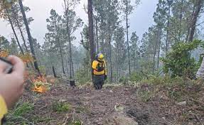 El incendio forestal en Valle Nuevo increment&oacute; su intensidad durante el s&aacute;bado