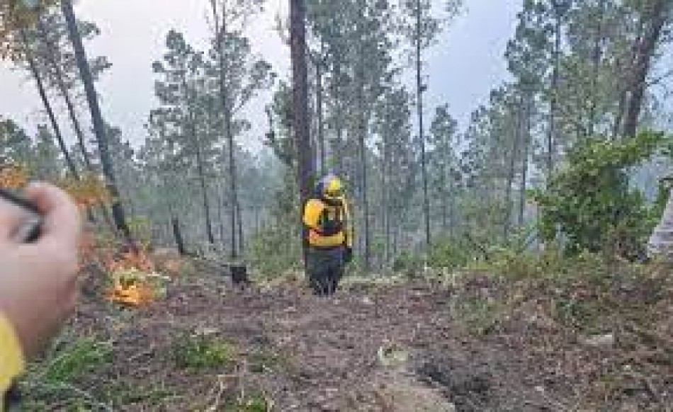 El incendio forestal en Valle Nuevo increment&oacute; su intensidad durante el s&aacute;bado