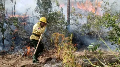 Incendios forestales se encuentra controlados o extinguidos, seg&uacute;n Medio Ambiente