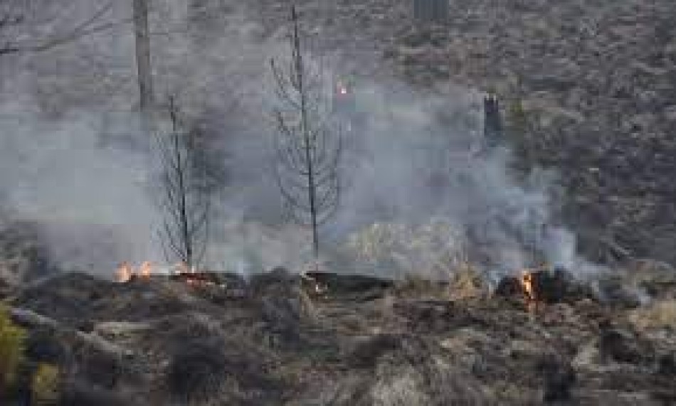 Alcance de da&ntilde;os en Valle Nuevo alarma a comunidad cient&iacute;fica