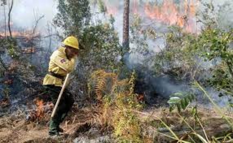 Once incendios forestales continúan activos