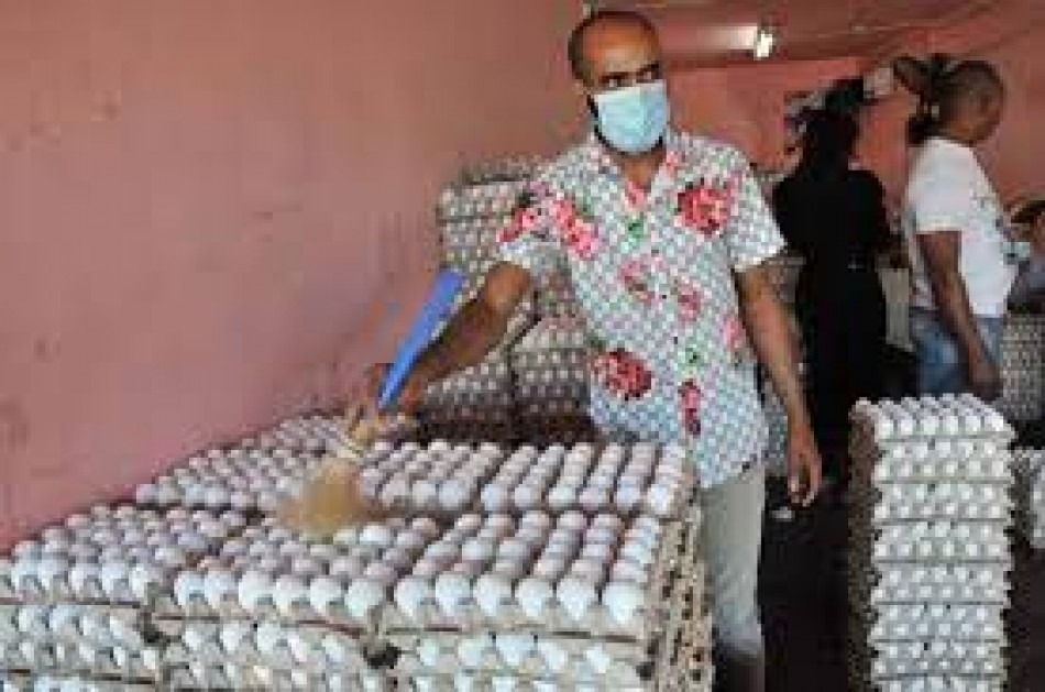 Productores de huevos dicen necesitar&aacute;n capital