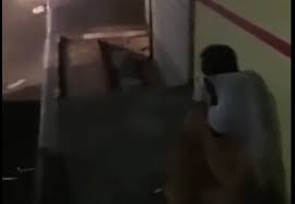  Supuestos empleados ASDE dan golpiza a envejeciente por tirar basura en la calle