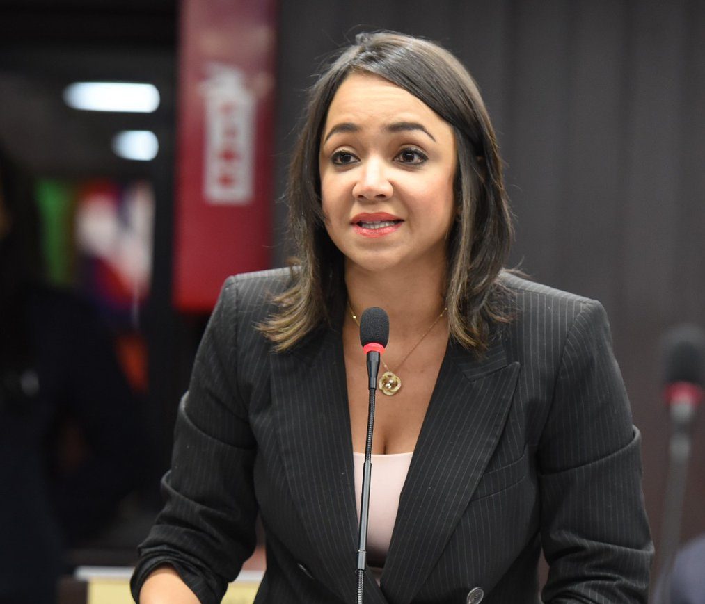 Faride Raful ve de &ldquo;chantaje&rdquo; las declaraciones de la oposici&oacute;n de no ir a elecciones