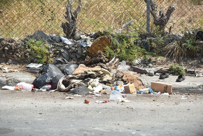 Ciudadanos de diferentes sectores utilizan los terrenos abandonado como espacio para arrojar grandes cantidades de basura