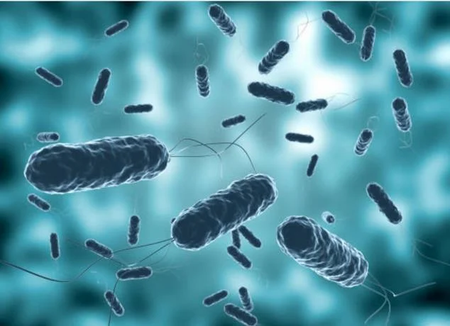 OMS alerta sobre el aumento de la tasa de mortalidad en los brotes de c&oacute;lera