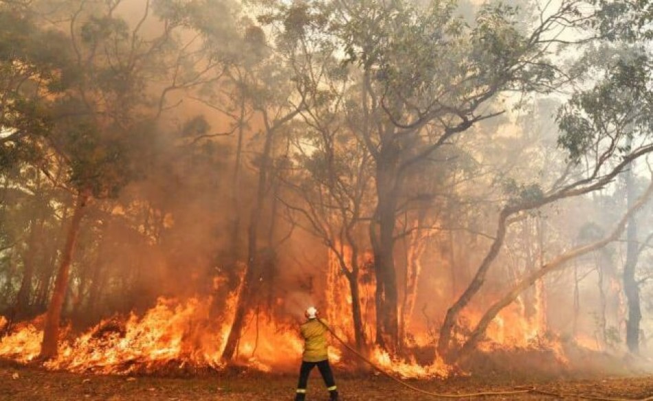 La República Dominicana registra 12 incendios forestales activos