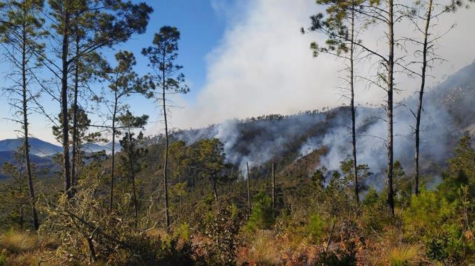 General de cuerpo de bomberos deplora limitaciones para labor