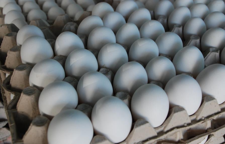 El Gobierno dominicano proh&iacute;be por 15 d&iacute;as la exportaci&oacute;n de huevos hacia Hait&iacute;
