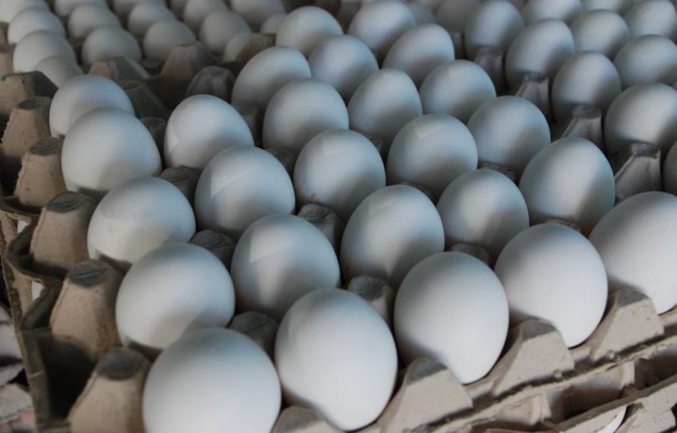 El Gobierno dominicano proh&iacute;be por 15 d&iacute;as la exportaci&oacute;n de huevos hacia Hait&iacute;