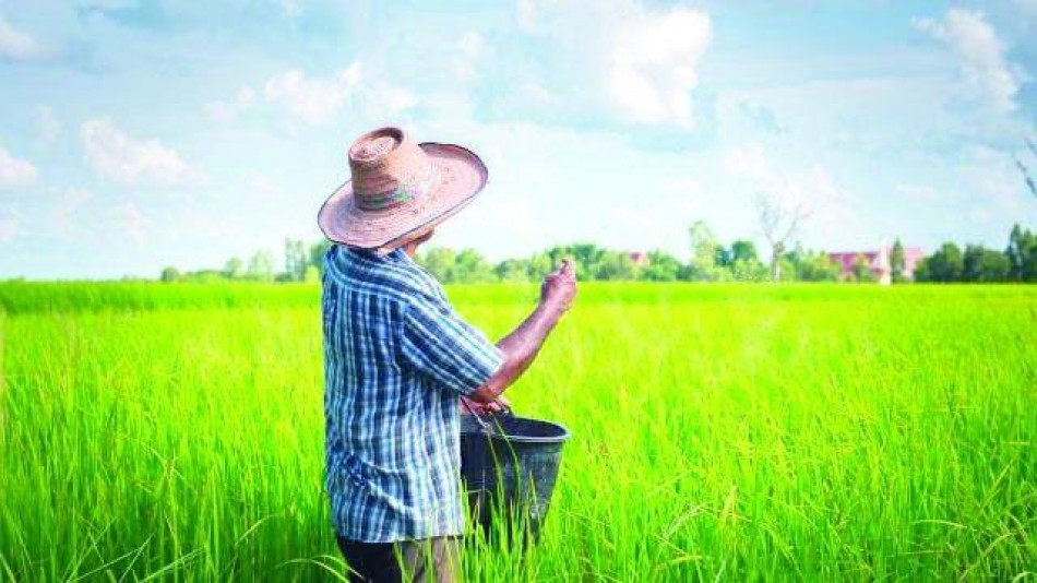 Agricultura garantiza alimentos, asegura no habr&aacute; escasez en RD