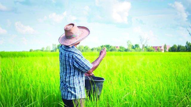 Agricultura garantiza alimentos, asegura no habr&aacute; escasez en RD