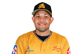 &Aacute;guilas Cibae&ntilde;as designan a Yadier Molina como su nuevo dirigente