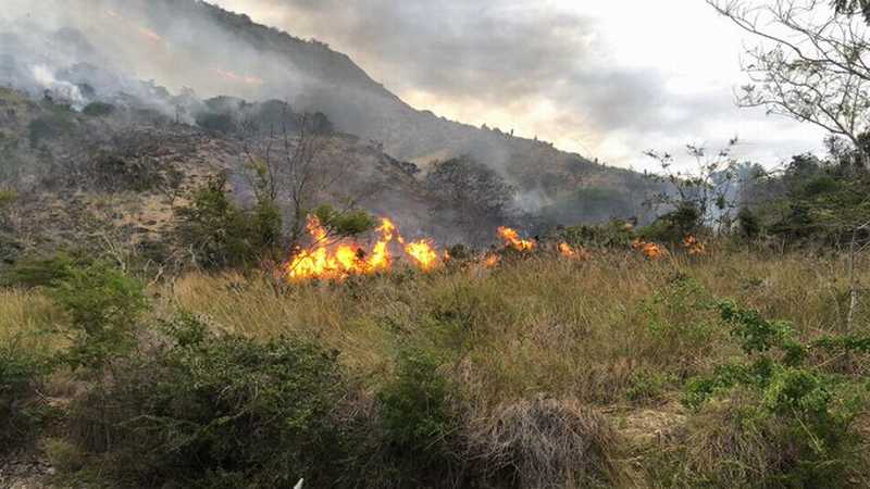 Incendio forestal afecta &aacute;rea protegida el Morro en Montecristi