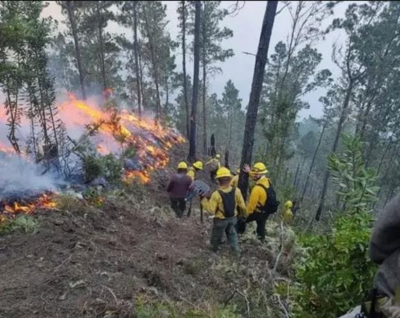 Incendios forestales atacan en distintas zonas del pa&iacute;s