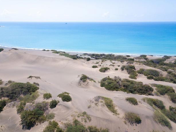 Intentan de nuevo depredar las Dunas de Ban&iacute;