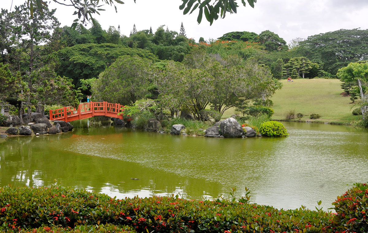 Gobierno definir&aacute; intervenci&oacute;n en el Jard&iacute;n Bot&aacute;nico tras evaluaci&oacute;n t&eacute;cnica