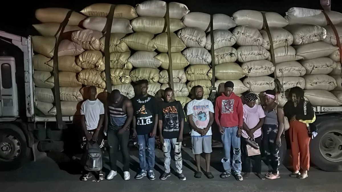 Ej&eacute;rcito intercepta cami&oacute;n con 10 haitianos indocumentados ocultos