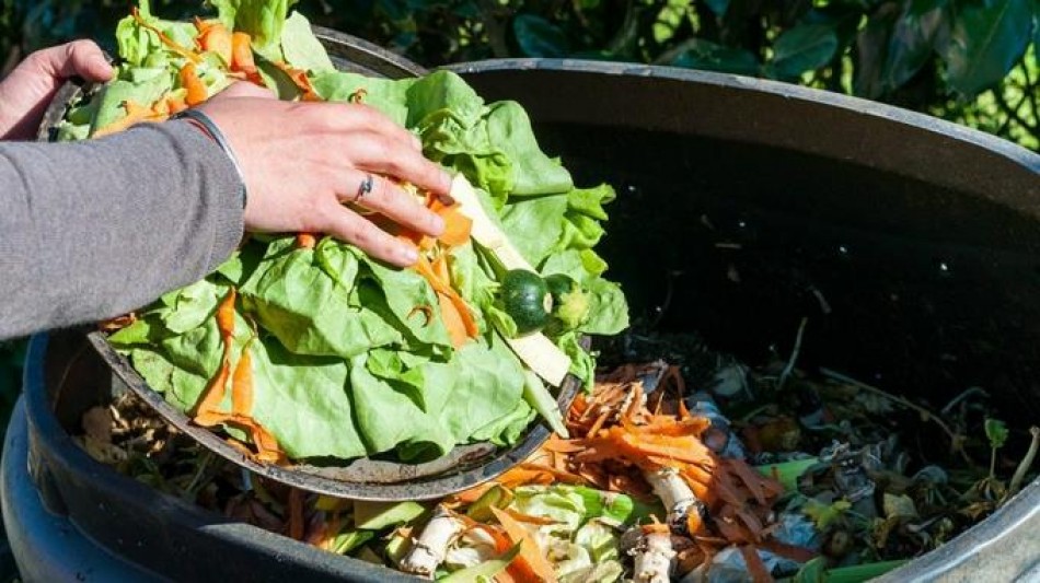 La FAO reitera que los pa&iacute;ses ricos deben asumir impacto de la sostenibilidad en los alimentos
