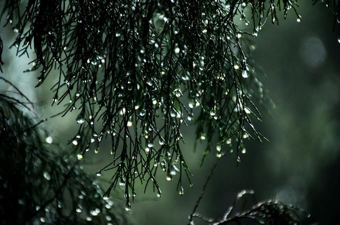 Las lluvias ser&aacute;n limitadas para este viernes, seg&uacute;n informe de Meteorolog&iacute;a