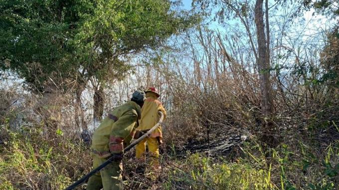 Medio Ambiente controla el fuego en  Valle Nuevo