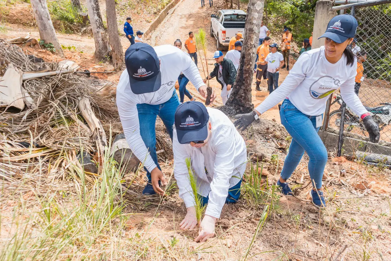 Ministerio Administrativo de la Presidencia siembra m&aacute;s de 4 mil pinos en cerro de Piedra Blanca