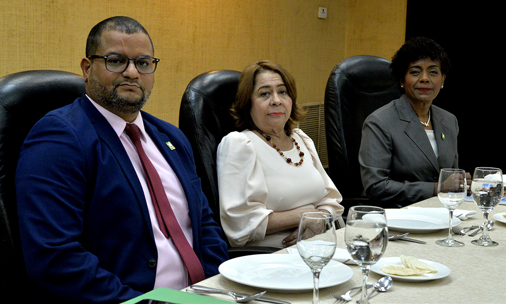 Participaci&oacute;n Ciudadana:&ldquo;El director de la Polic&iacute;a debe ser interpelado por muertes en los cuarteles&rdquo;