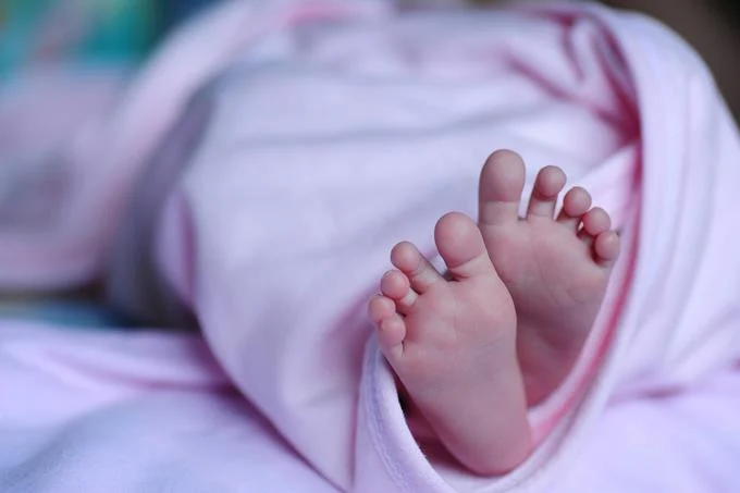 Pediatras pide a Salud P&uacute;blica asumir investigaci&oacute;n de muerte de 34 ni&ntilde;os en maternidad