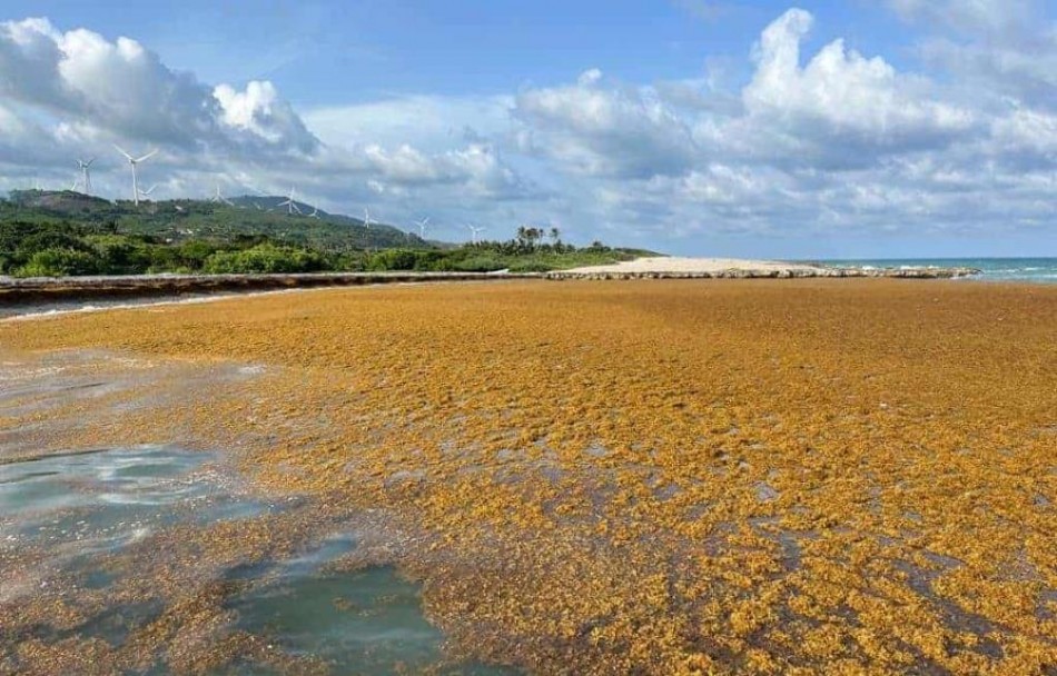 República Dominicana ocupa el lugar 89 de 180 países en ranking de desempeño ambiental