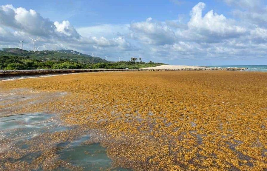 Rep&uacute;blica Dominicana ocupa el lugar 89 de 180 pa&iacute;ses en ranking de desempe&ntilde;o ambiental