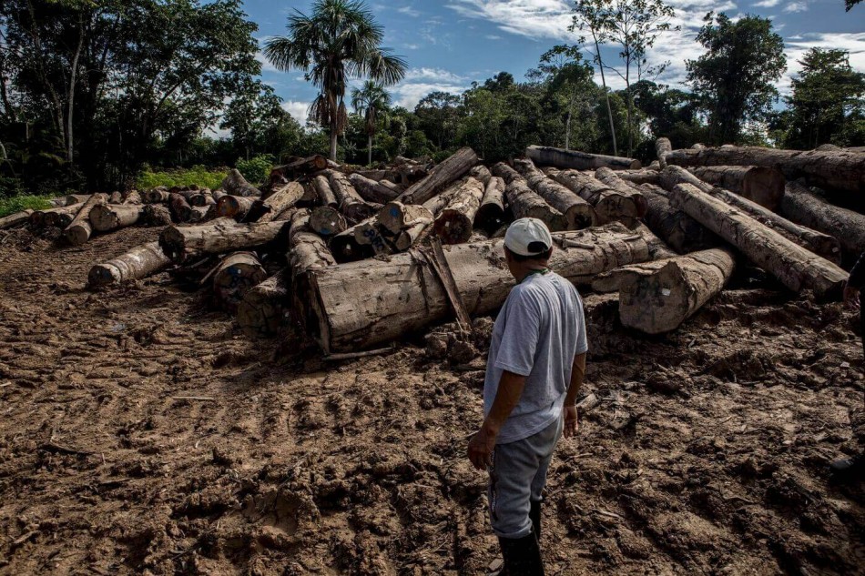 Ministerio P&uacute;blico procesa 4 mil casos por delitos ambientales
