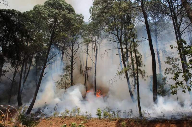  Se registra 70% de fuegos forestales provocados
