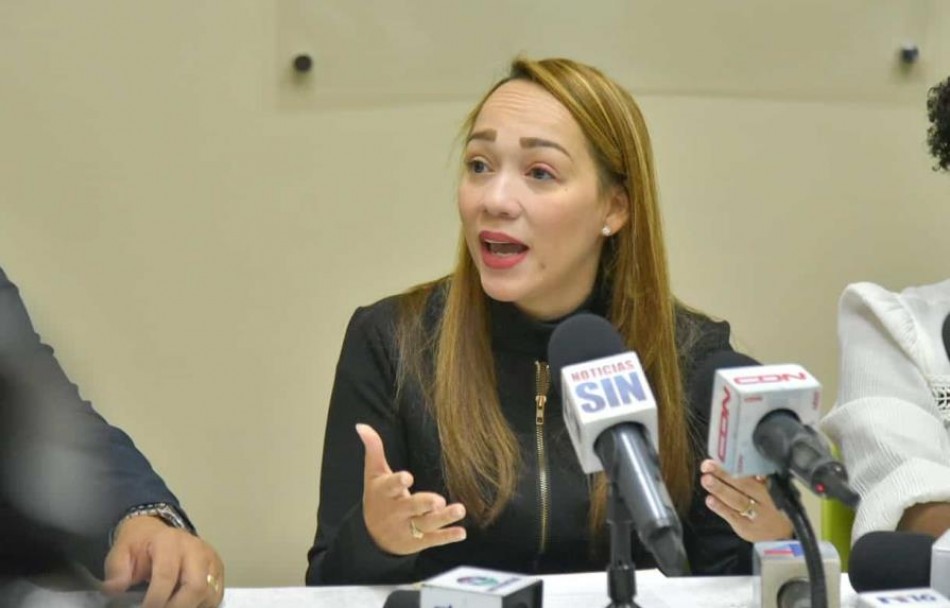 Participación Ciudadana niega entrega de propuesta de modificación a Ley Electoral