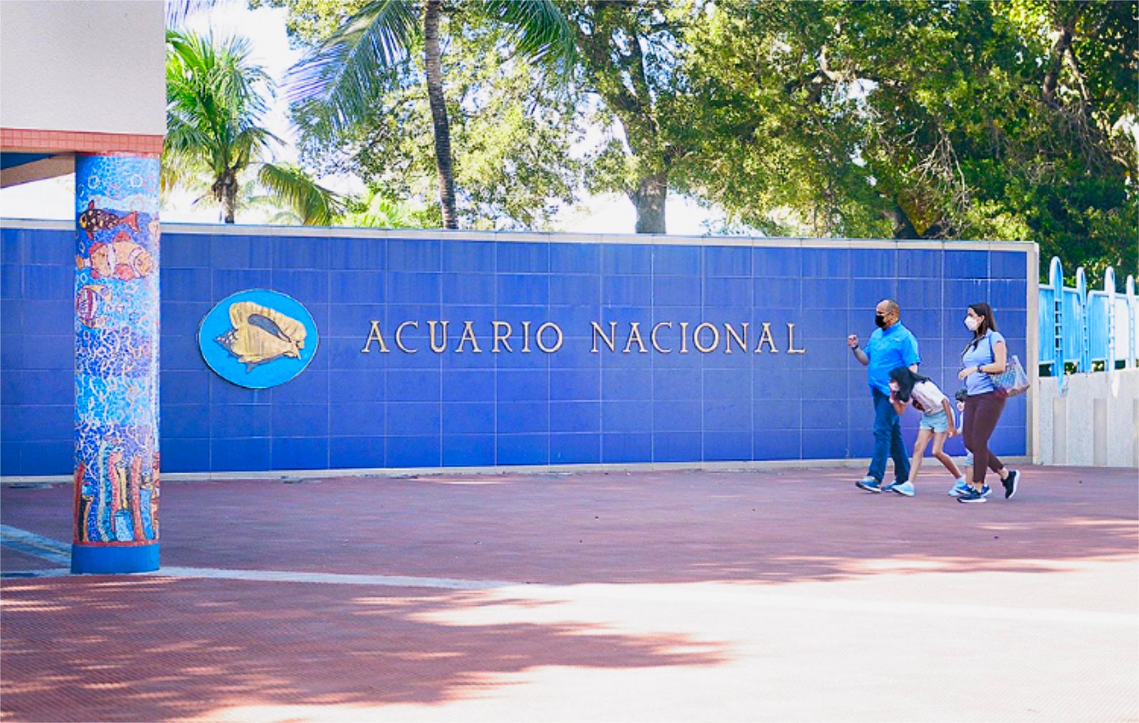El Acuario Nacional, un espacio sumergido en el descuido