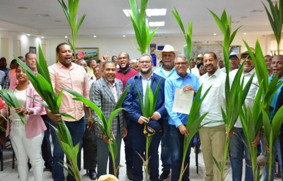 FEDA inicia plan de relanzamiento del sector coco en la Rep&uacute;blica Dominicana