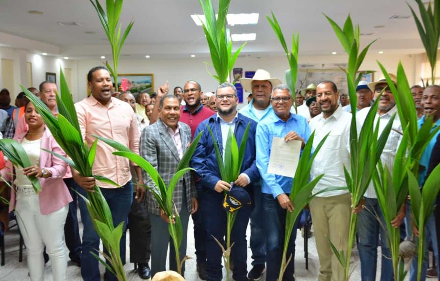 FEDA inicia plan de relanzamiento del sector coco en la Rep&uacute;blica Dominicana
